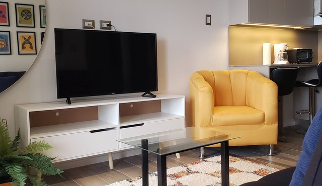 Zona 10 Apartamento Estudio