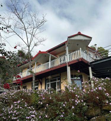 Alishan Bed & Breakfast | 27 m² Bed and breakfast ∙ 5 guests