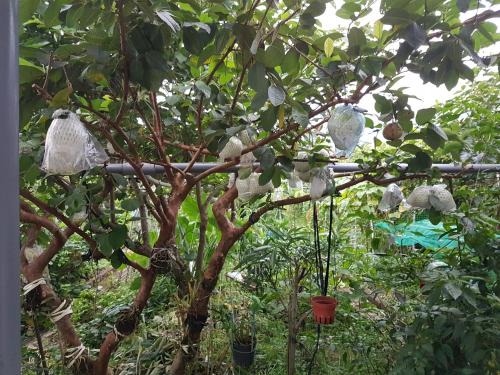 Beinan House | Ganoun Homestay