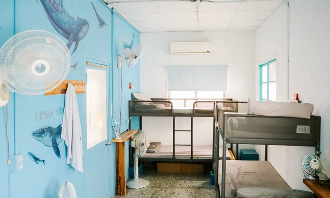 Fengshan District Hostel | No. 79 Backpacker