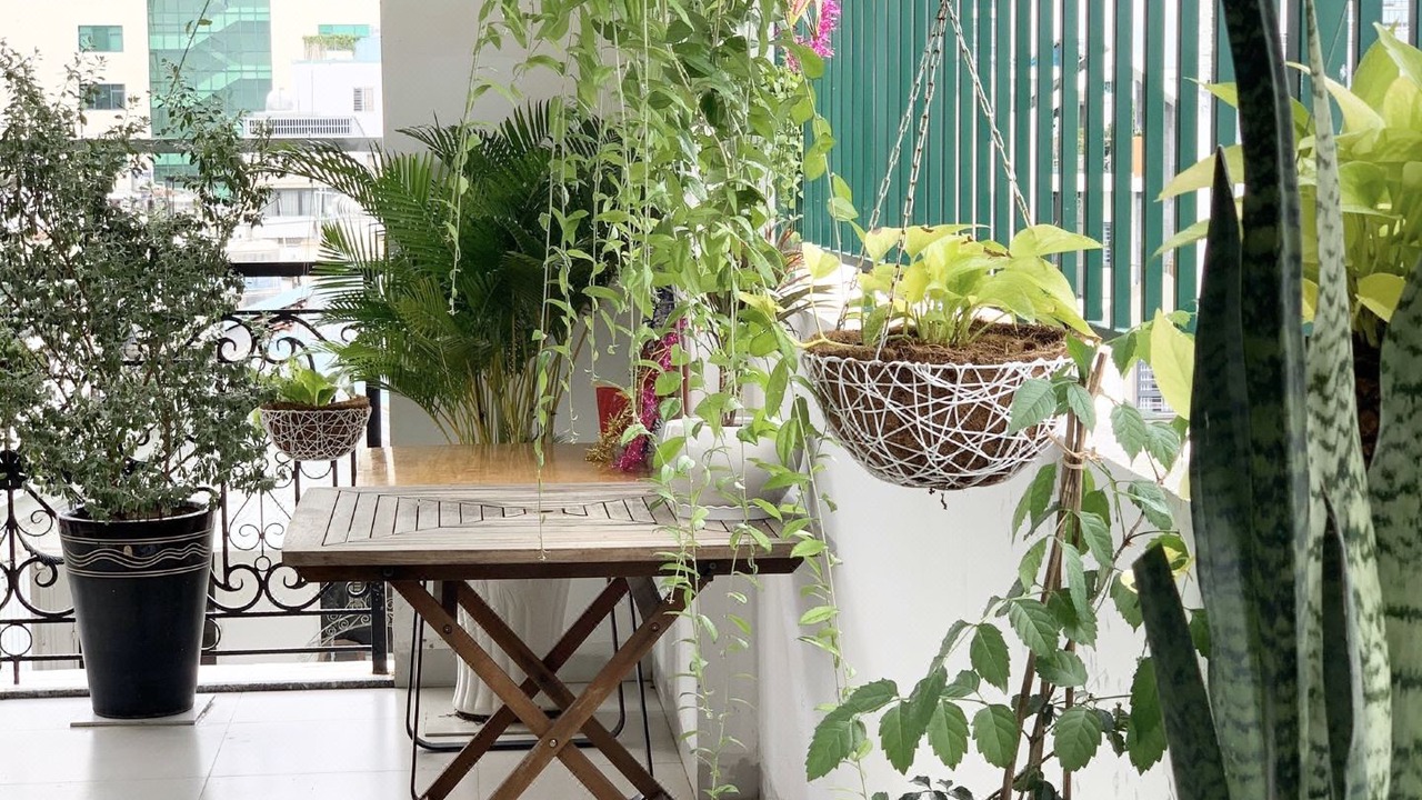 Photo of Patio Balcony in Ba Queo