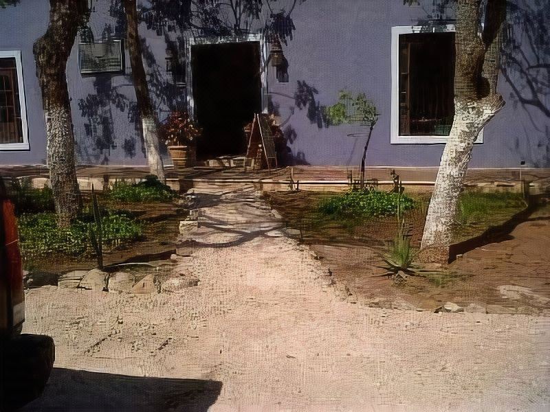 Photo of Buildings in Zona Paseo Montejo