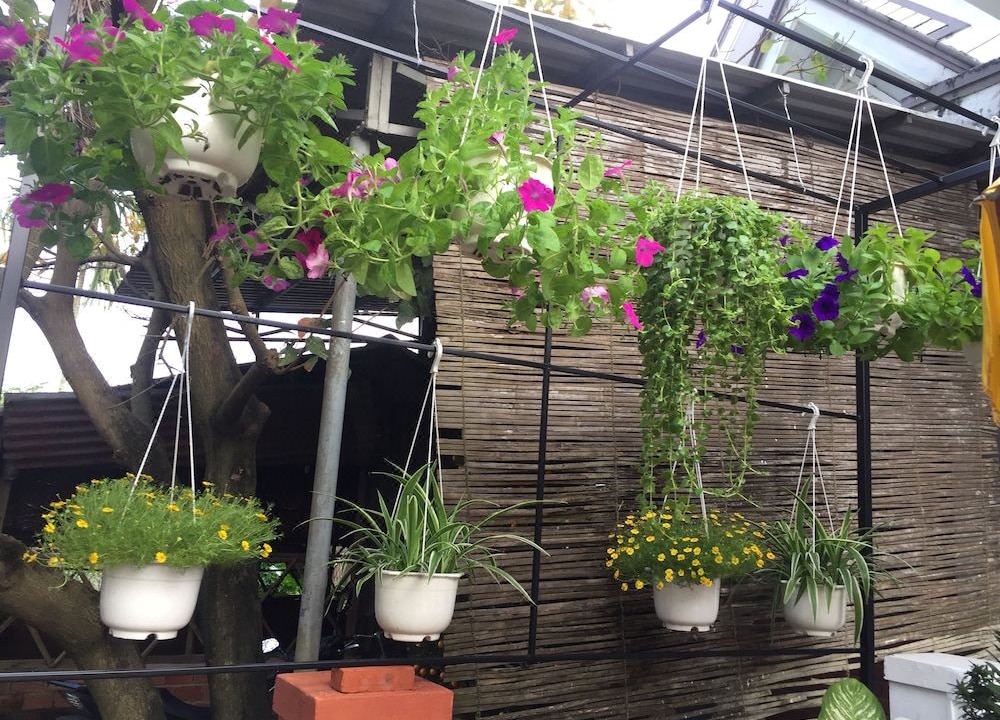 Photo of Patio Balcony in Cam Kim