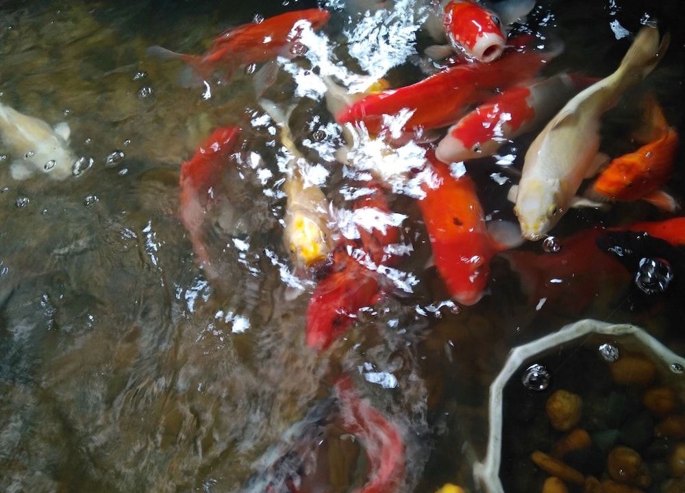 Photo of Others in Dong Da