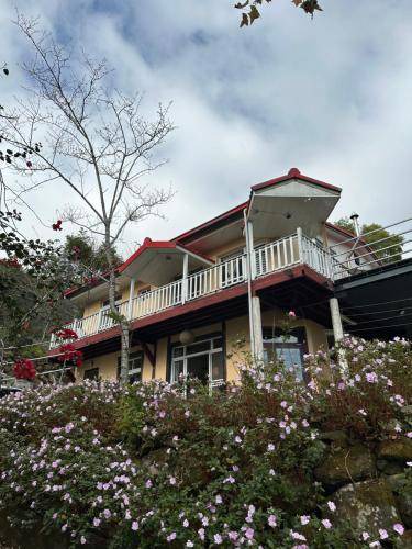Photo of Others in Alishan