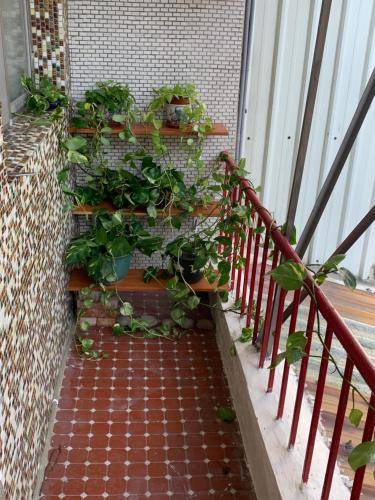 Photo of Patio Balcony in Miaoli