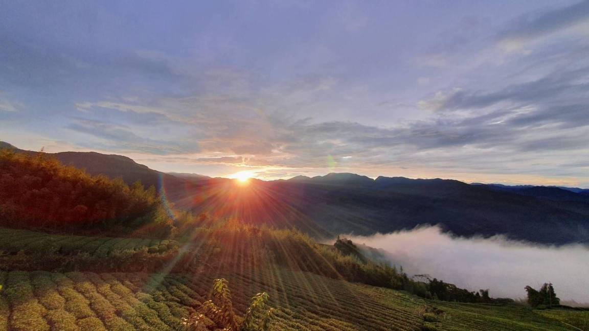 Photo of Others in Alishan