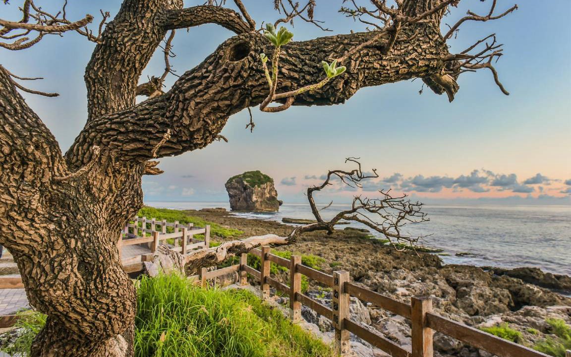 Photo of Others in Sail Rock Beach
