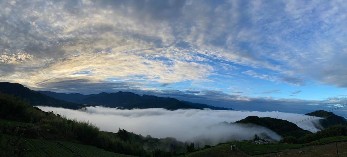 Photo of Others in Alishan