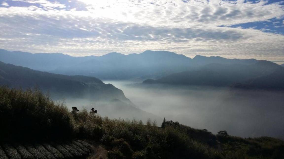Photo of Others in Alishan