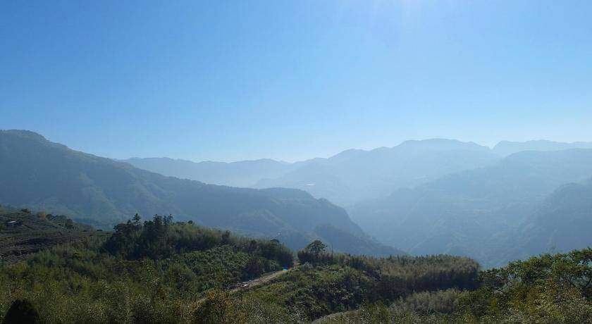 Photo of Others in Alishan