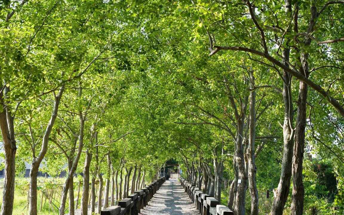 Photo of Others in Wujie