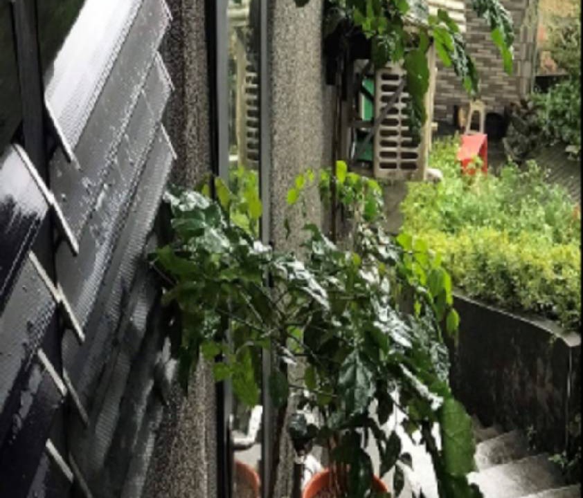 Photo of Others in Ruifang