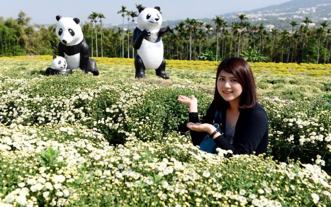 Photo of Others in Sanyi