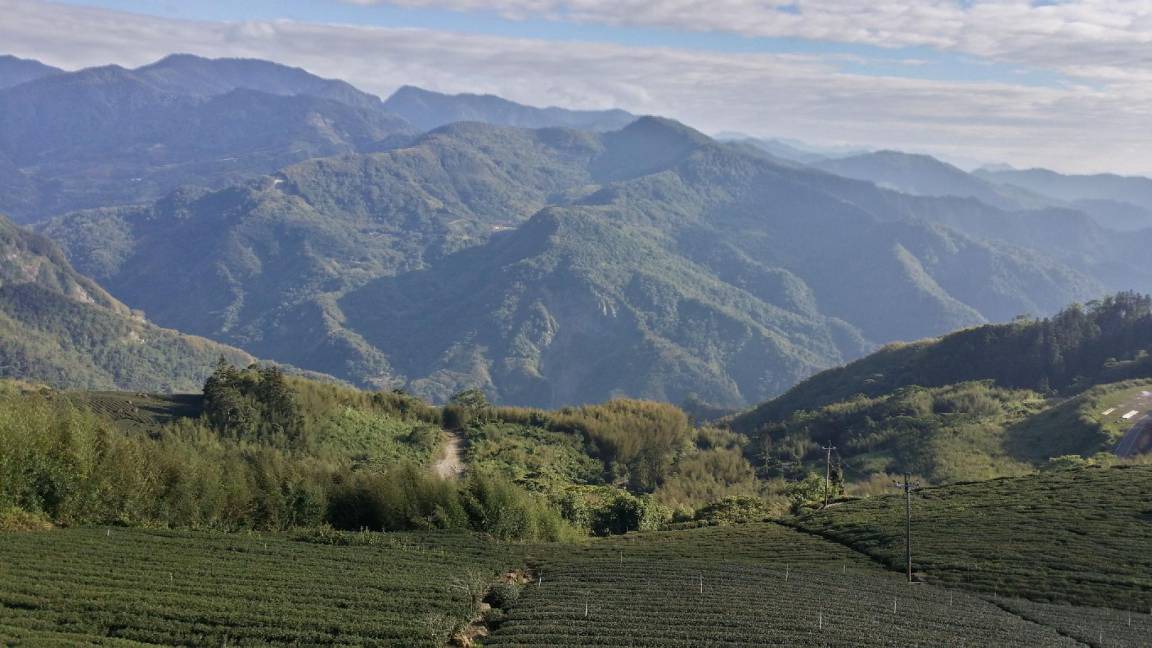 Photo of Others in Alishan