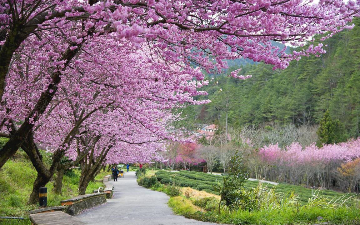 Photo of Outdoor in Heping