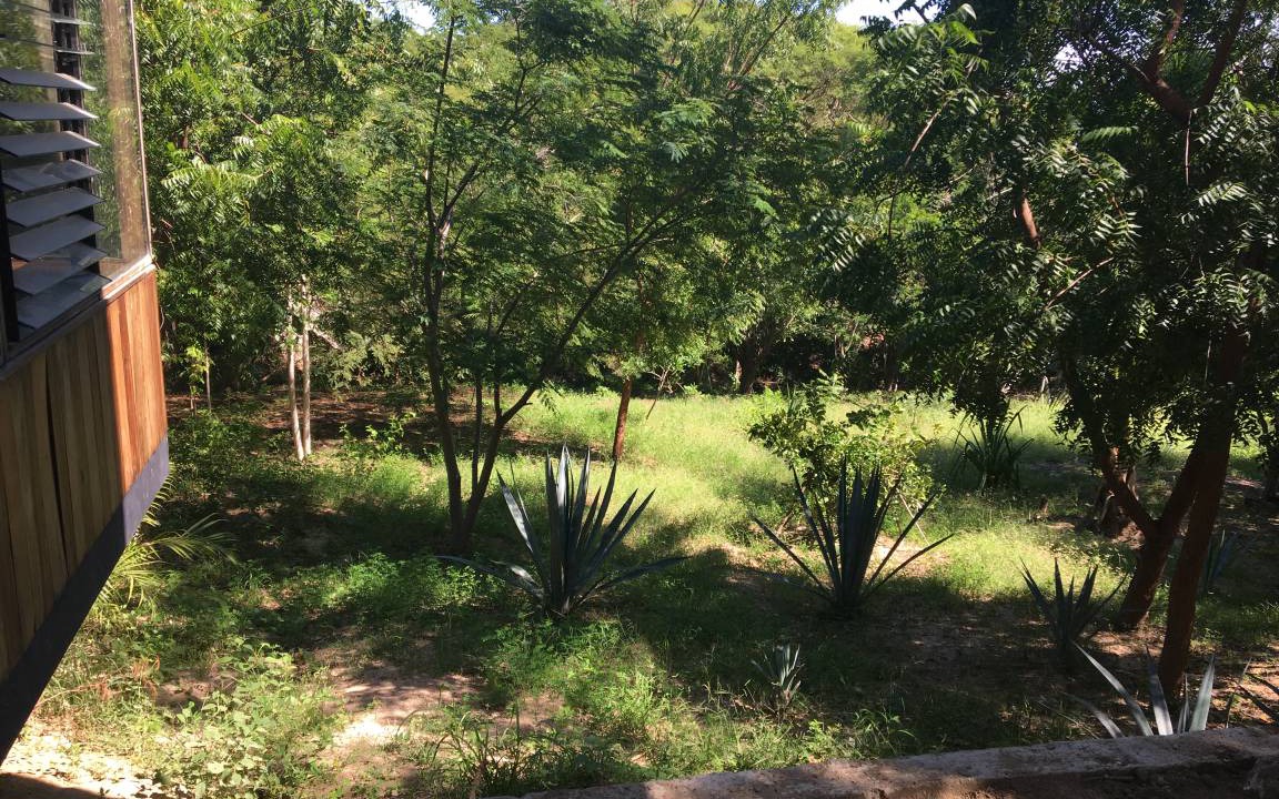 Photo of Others in Cuatunalco