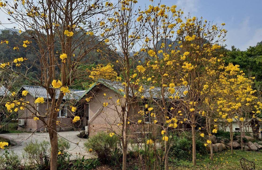 Photo of Others in Nanzhuang