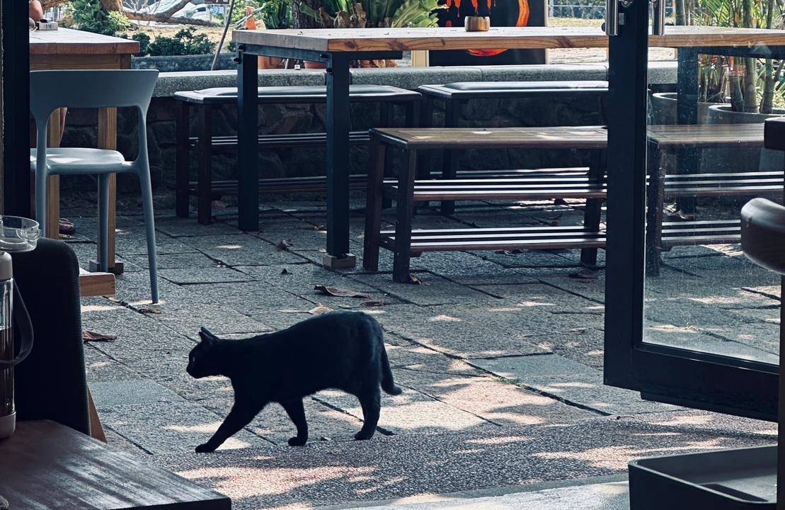 Photo of Others in South Beach