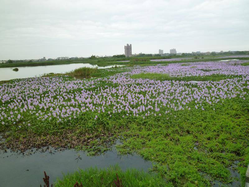 Photo of Others in Dongshan