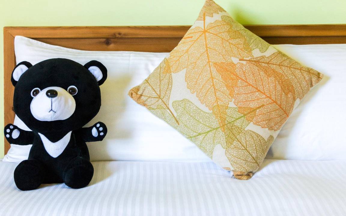 Photo of Bedroom in Taitung