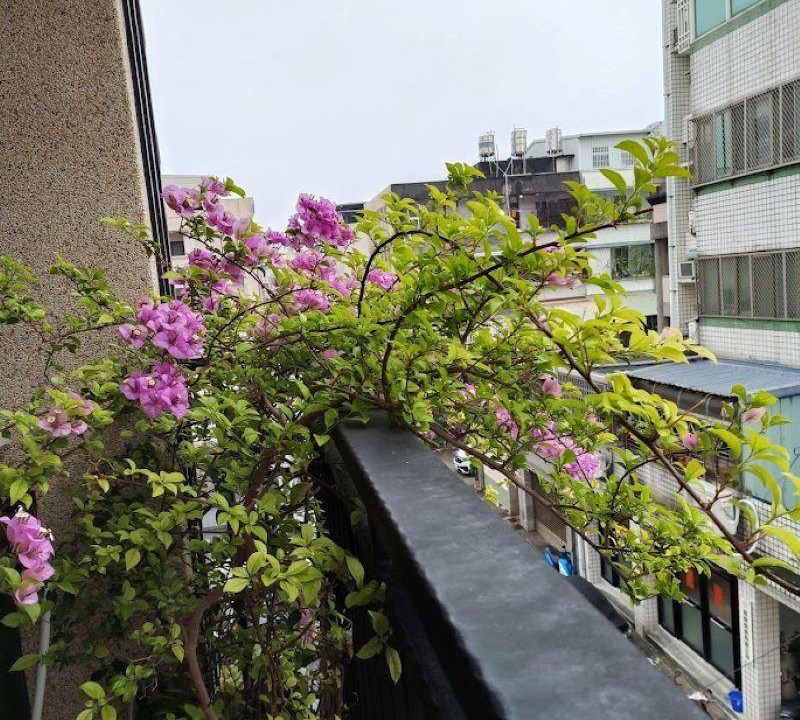 Photo of Others in Hualien City Centre