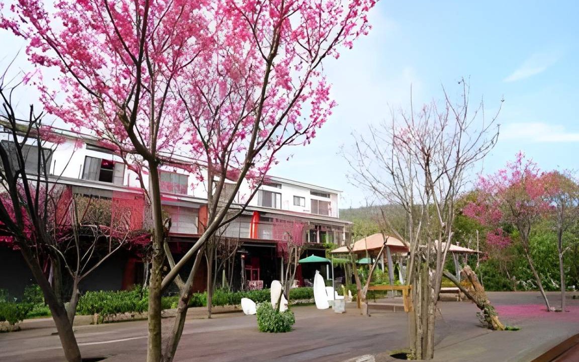 Photo of Others in Sanyi