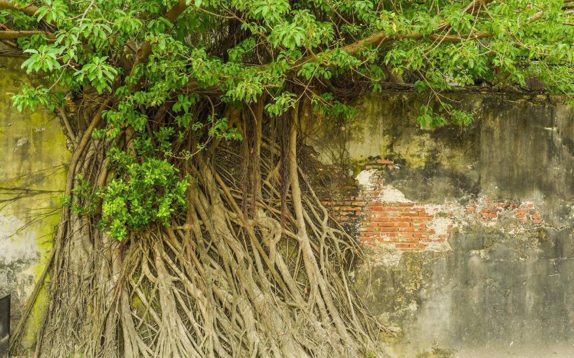 Photo of Others in Anping