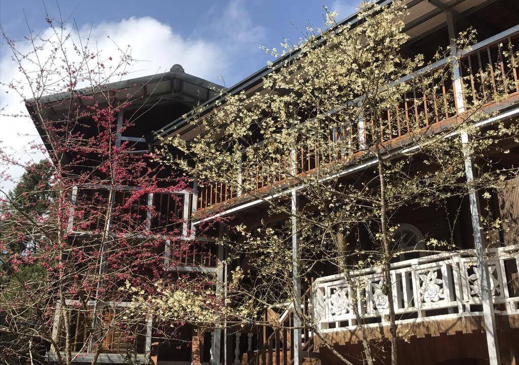 Photo of Buildings in Xitou