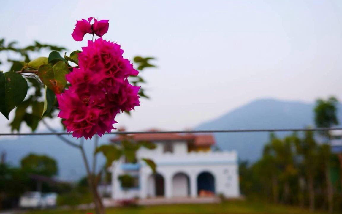 Photo of Buildings in Puli