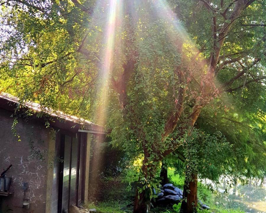 Photo of Others in Sanxing