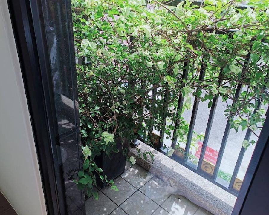 Photo of Patio Balcony in Hualien City Centre