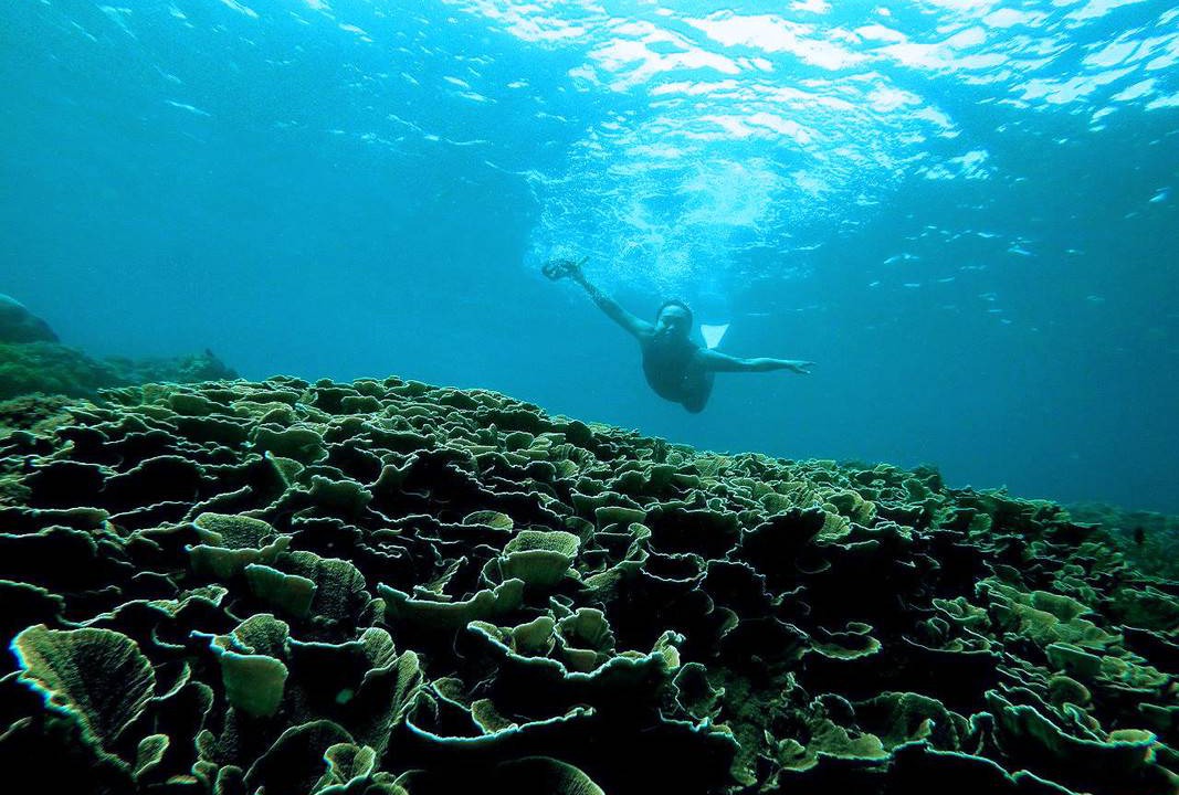 Photo of Others in White Sand Beach