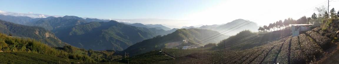 Photo of Others in Alishan