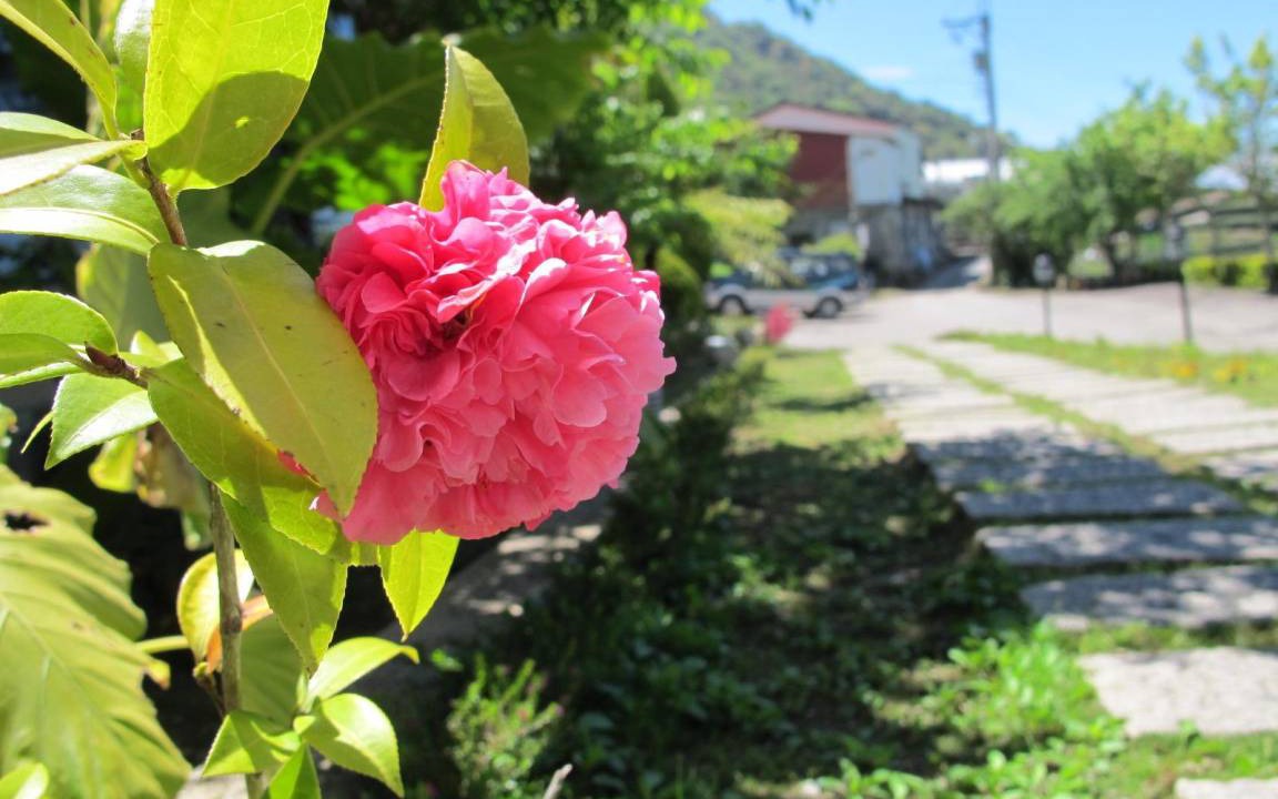 Photo of Others in Ren'ai