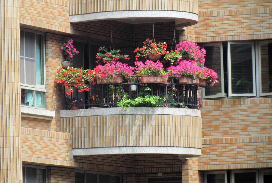 Photo of Others in Zuoying District