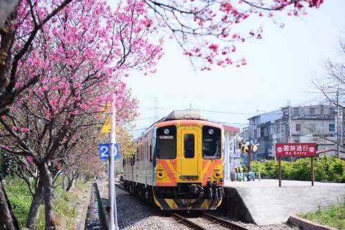 Photo of Others in Hengshan