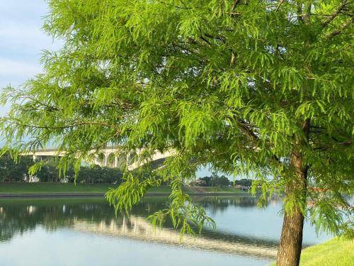 Photo of Others in Wujie