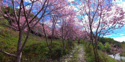 Photo of Others in Taitung