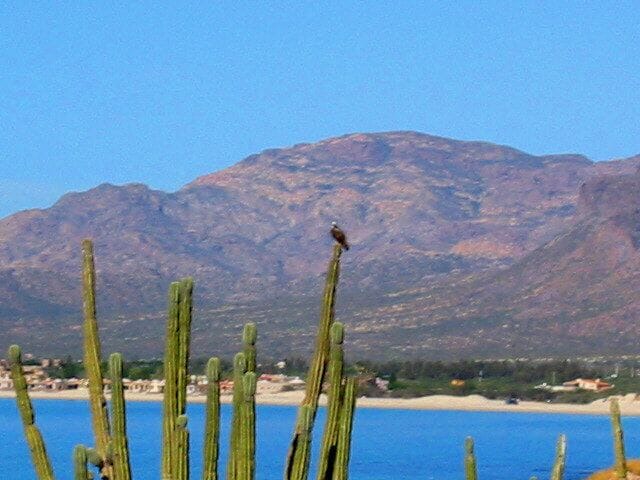 Photo of Outdoor in Marina Real