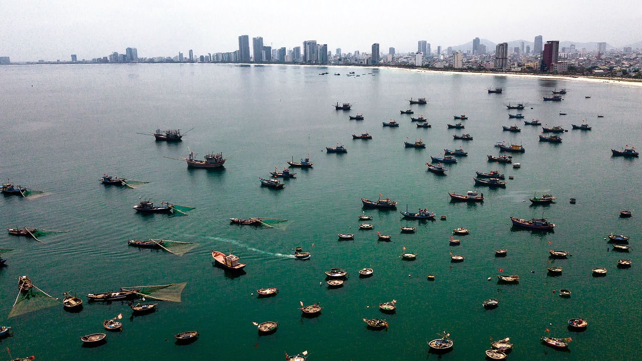 Photo of Others in Hai Chau