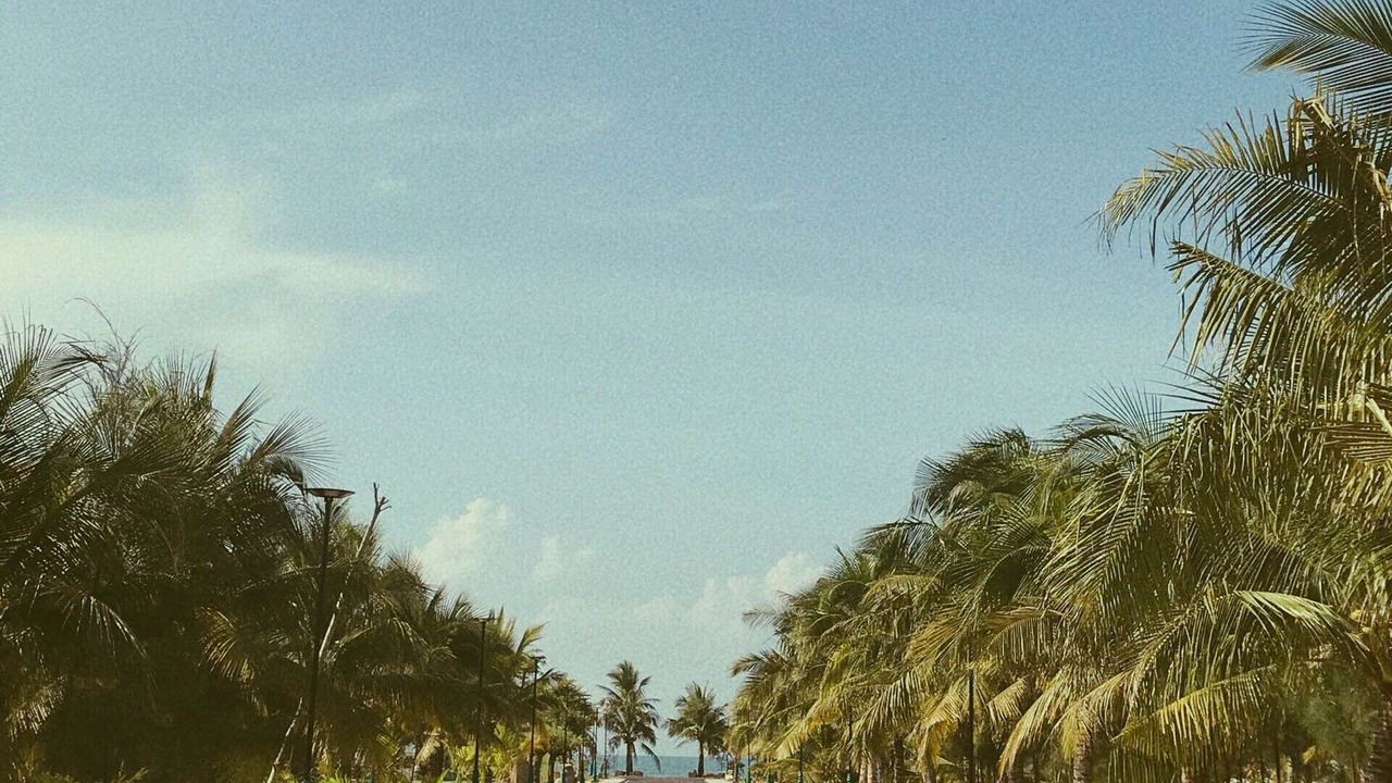 Photo of Outdoor in La Gi