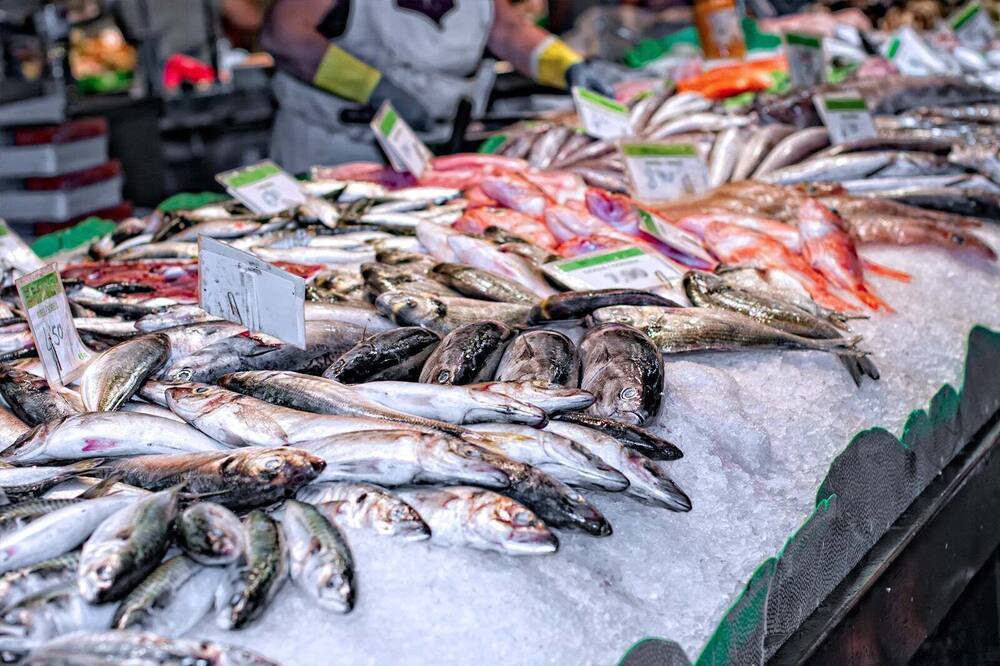 Photo of Others in Marina Vallarta