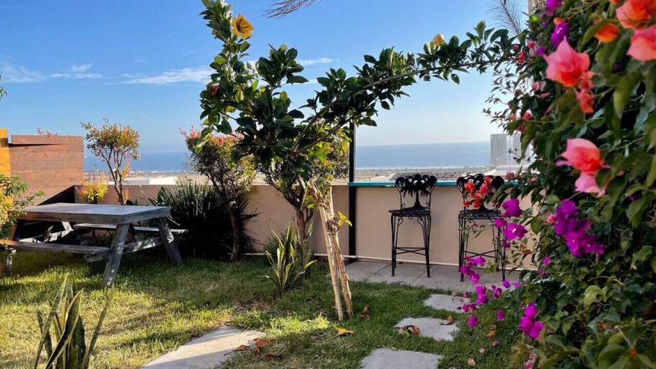 Photo of Outdoor in La Joya