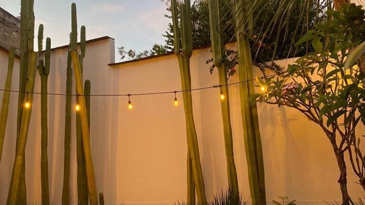 Photo of Outdoor in San Felipe