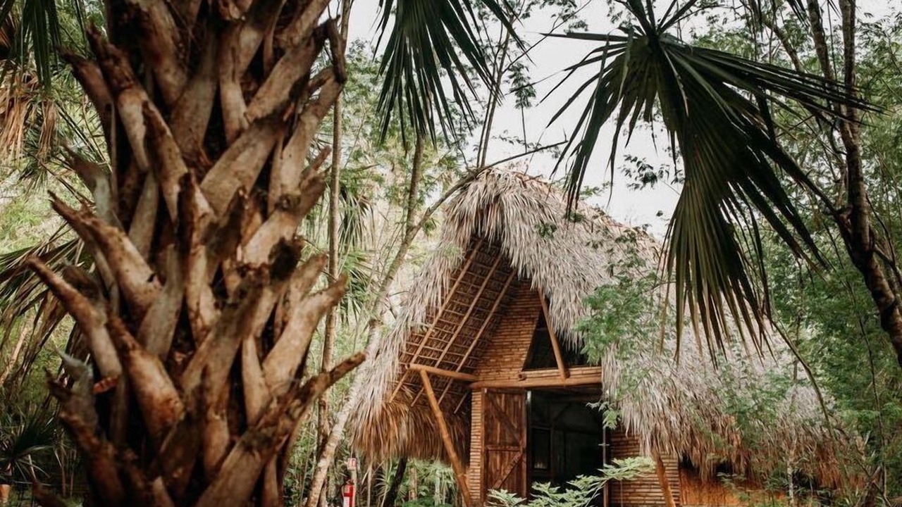 Photo of Bedroom in La Huasteca