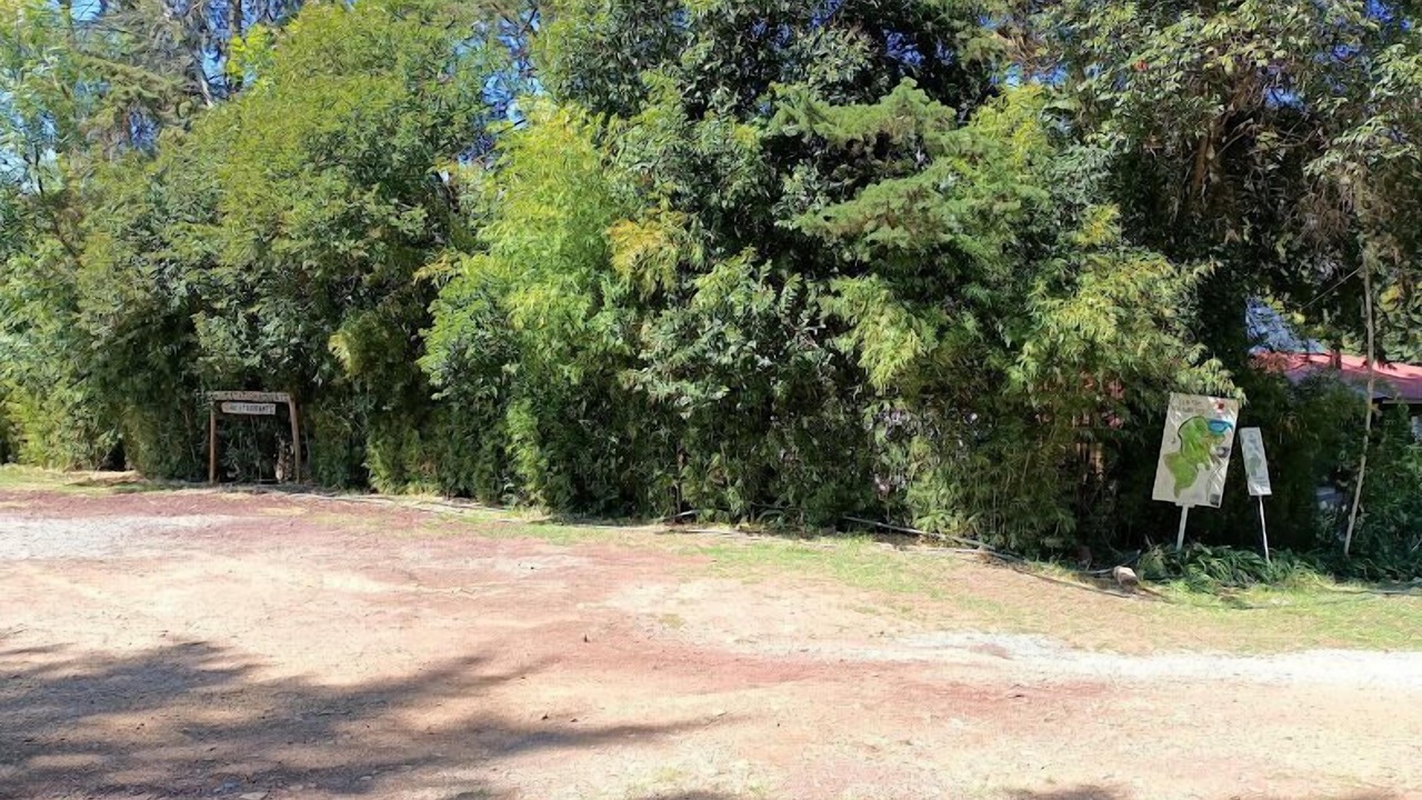 Photo of Others in Huasca De Ocampo