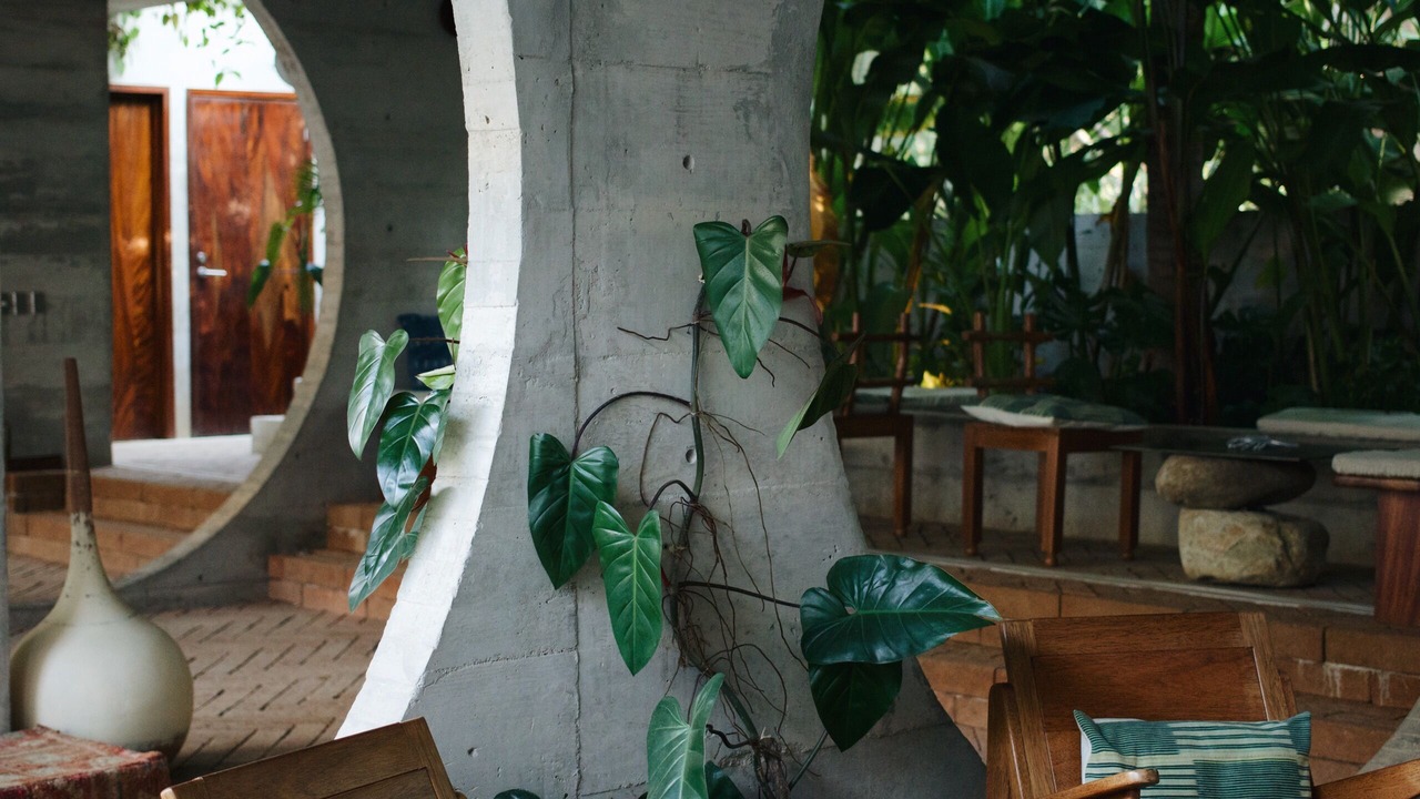 Photo of Others in Barra de Colotepec