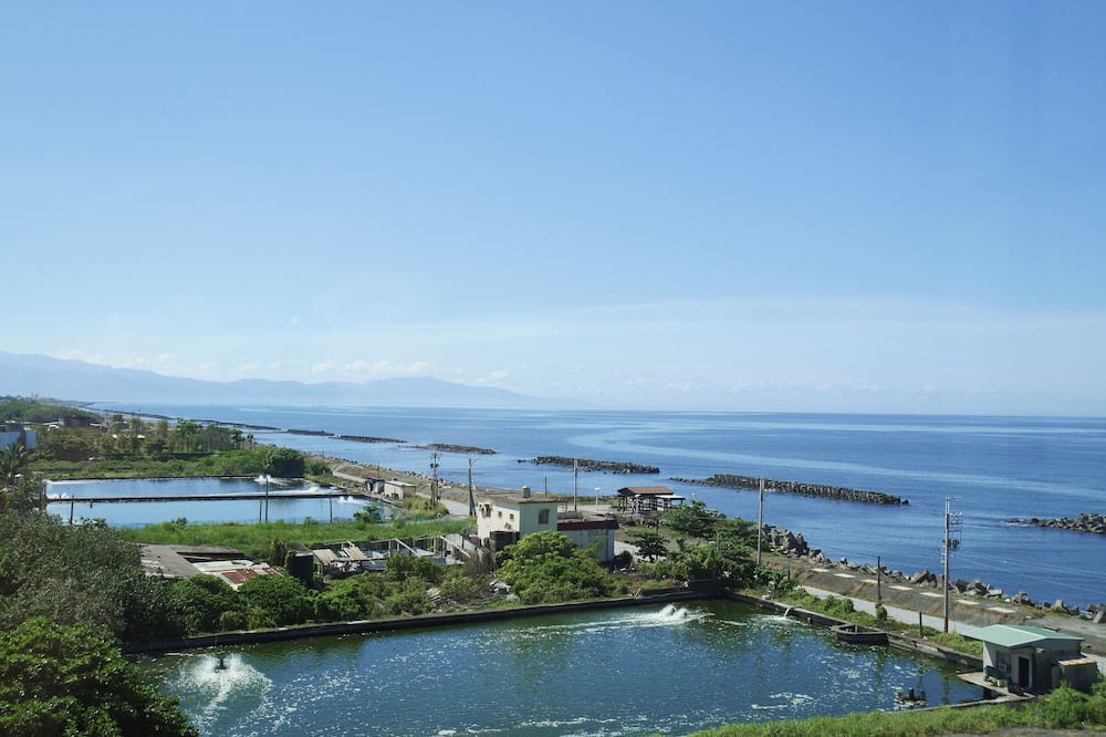 Photo of Outdoor in Donggang