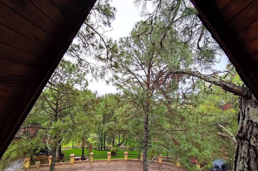 Photo of Outdoor in Mazamitla